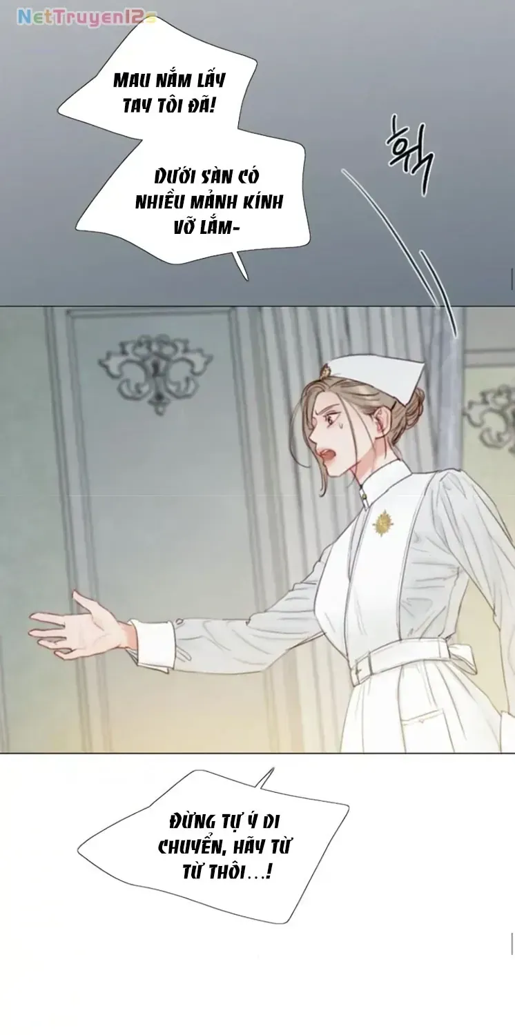 Serena Chapter 132 - TC Truyện