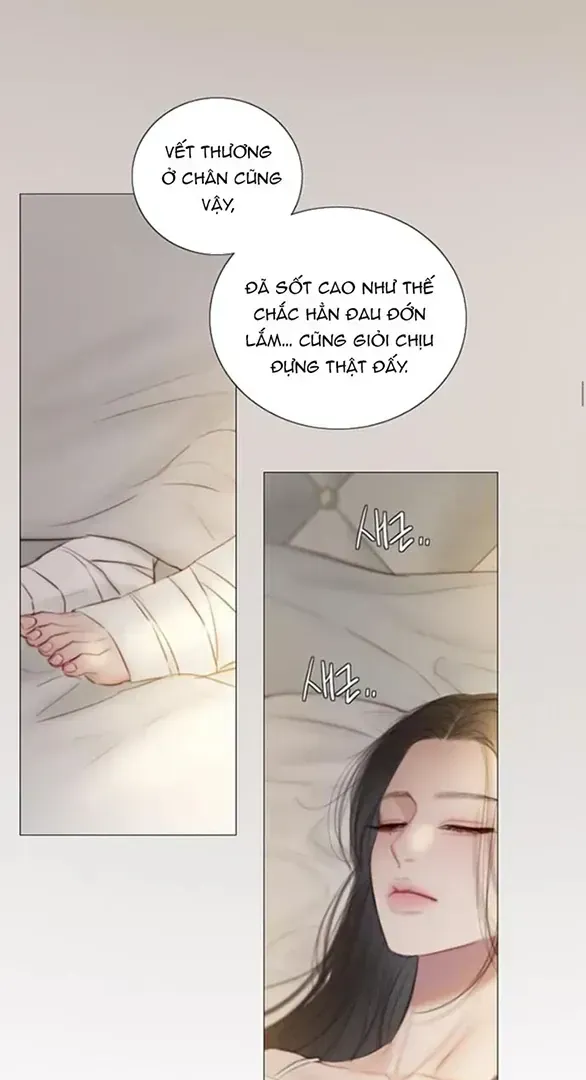 Serena Chapter 133 - TC Truyện