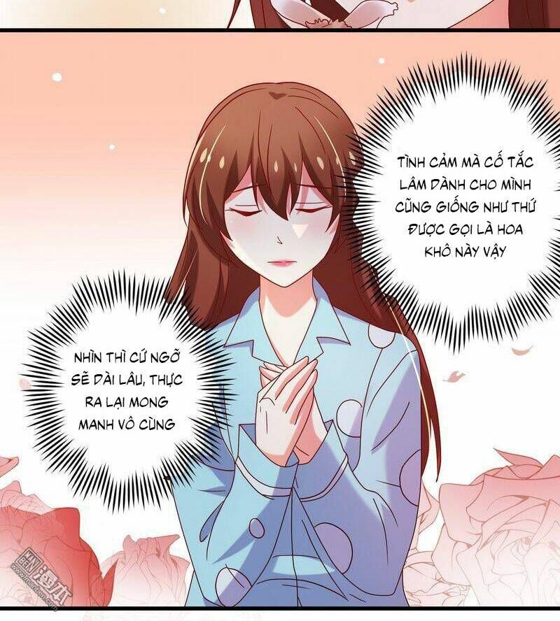 Khế hôn Chapter 65 - TC Truyện
