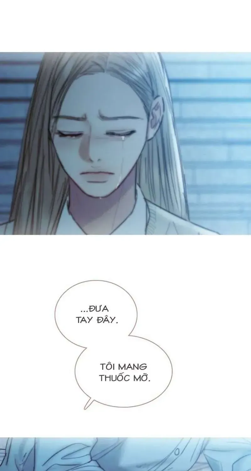 Serena Chapter 196 - TC Truyện