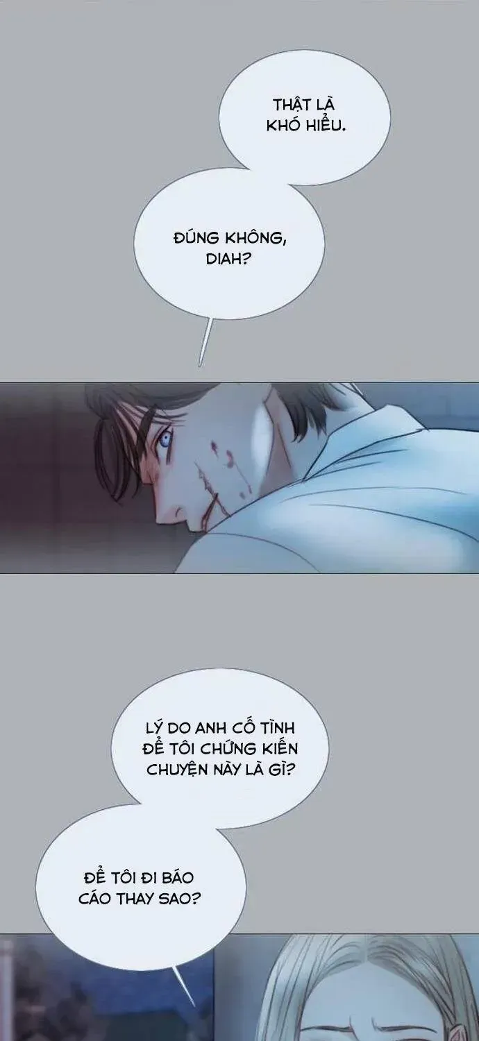 Serena Chapter 167 - AB Truyện