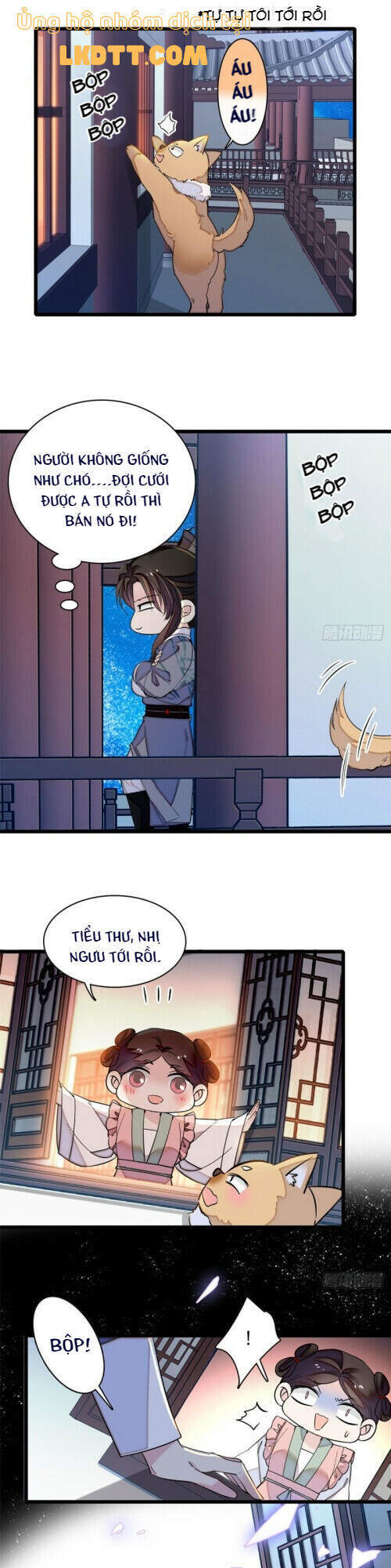 Tự Cẩm Chapter 113 - TC Truyện