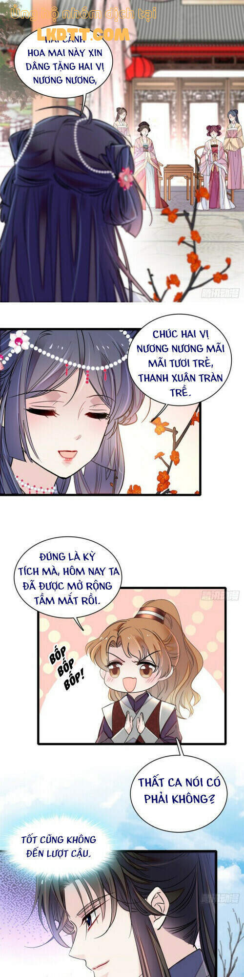 Tự Cẩm Chapter 126 - AB Truyện