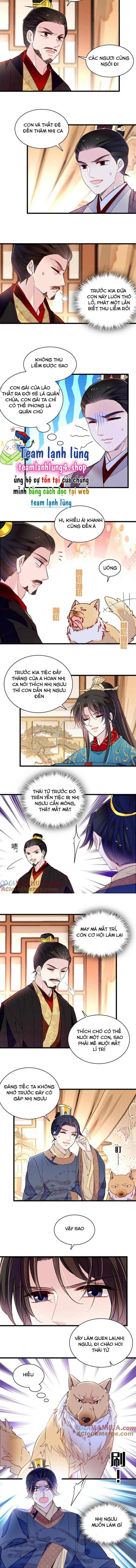 Tự Cẩm Chapter 246 Chapter 246 - TC Truyện