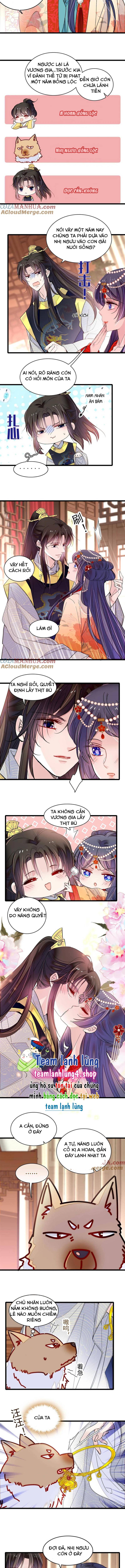 Tự Cẩm Chapter 260 Chapter 260 - TC Truyện