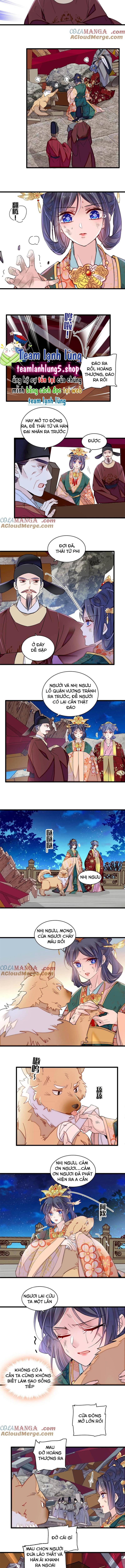 Tự Cẩm Chapter 381 Chapter 381 - TC Truyện