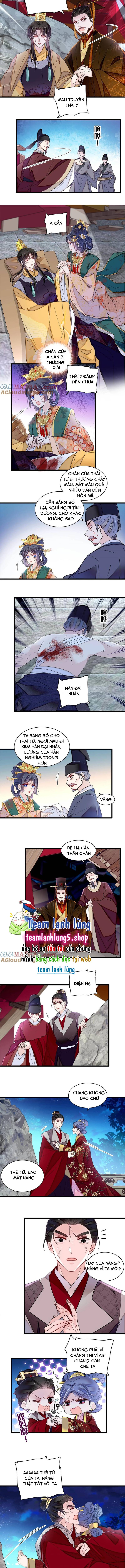 Tự Cẩm Chapter 381 Chapter 381 - TC Truyện