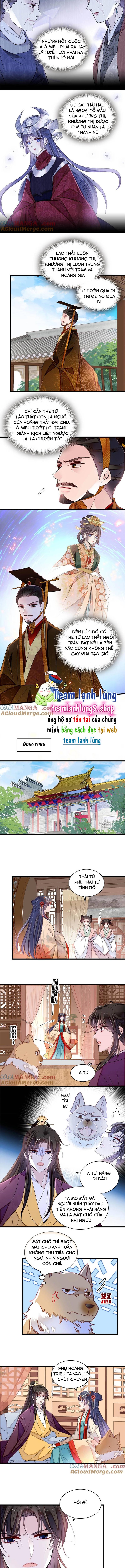 Tự Cẩm Chapter 385 Chapter 385 - TC Truyện