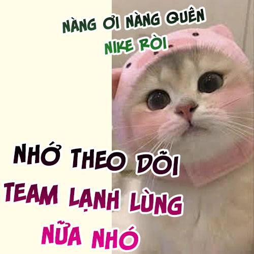 Tự Cẩm Chapter 361 Chapter 361 - TC Truyện