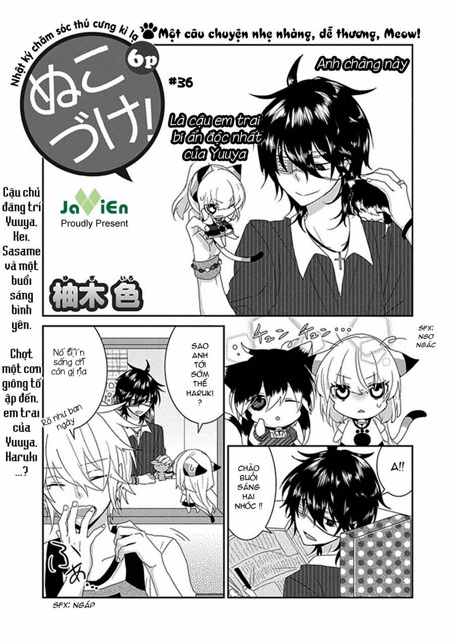 Nukoduke! Chapter 36 - AB Truyện