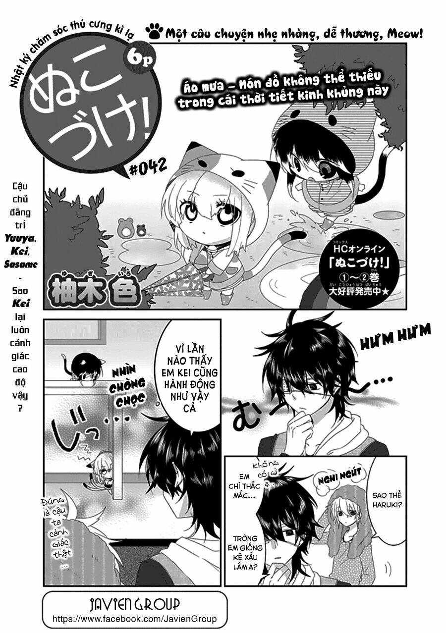 Nukoduke! Chapter 42 - AB Truyện