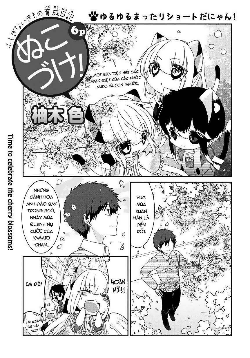 Nukoduke! Chapter 78 - AB Truyện