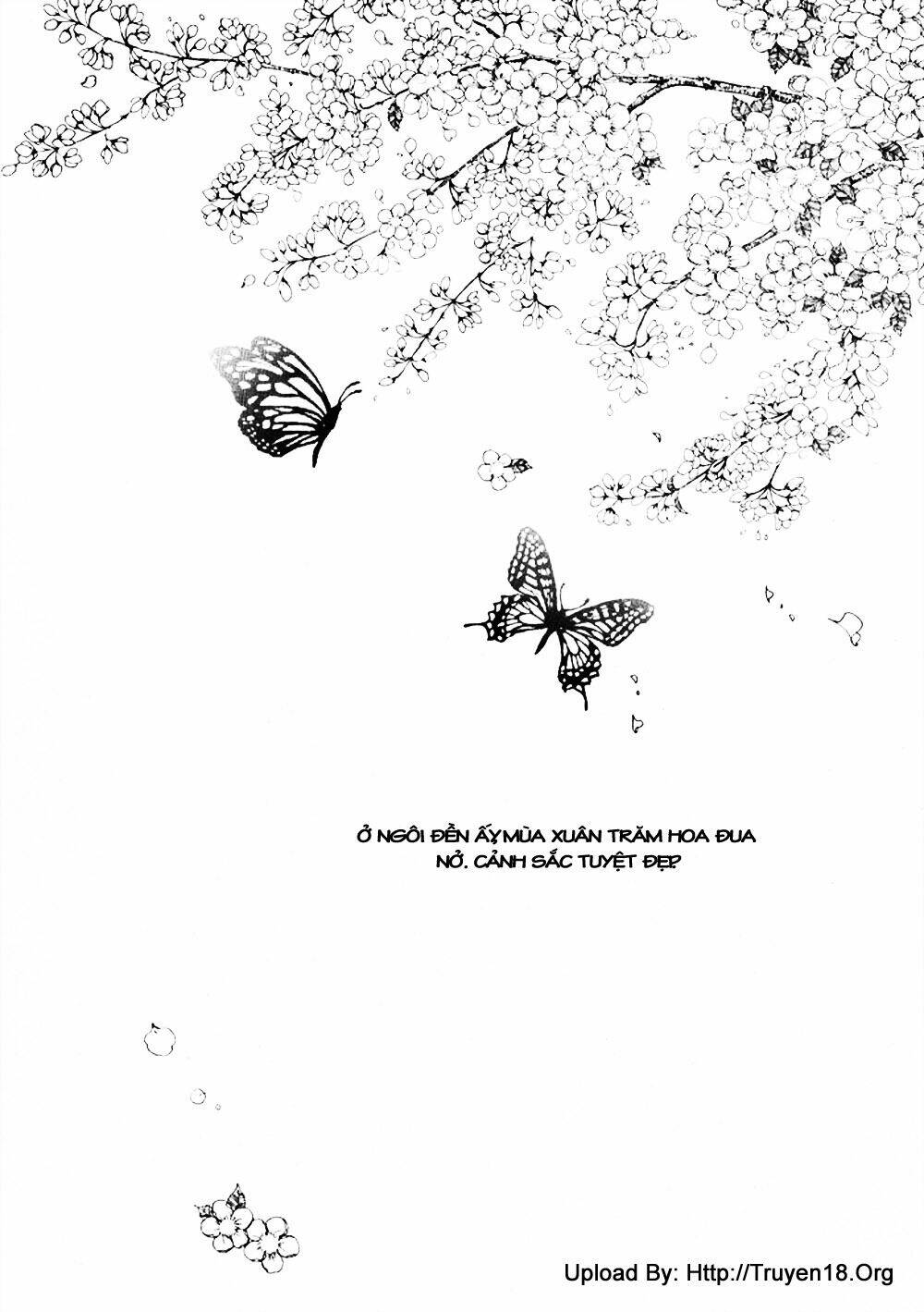 Nabi Chapter 3 - TC Truyện