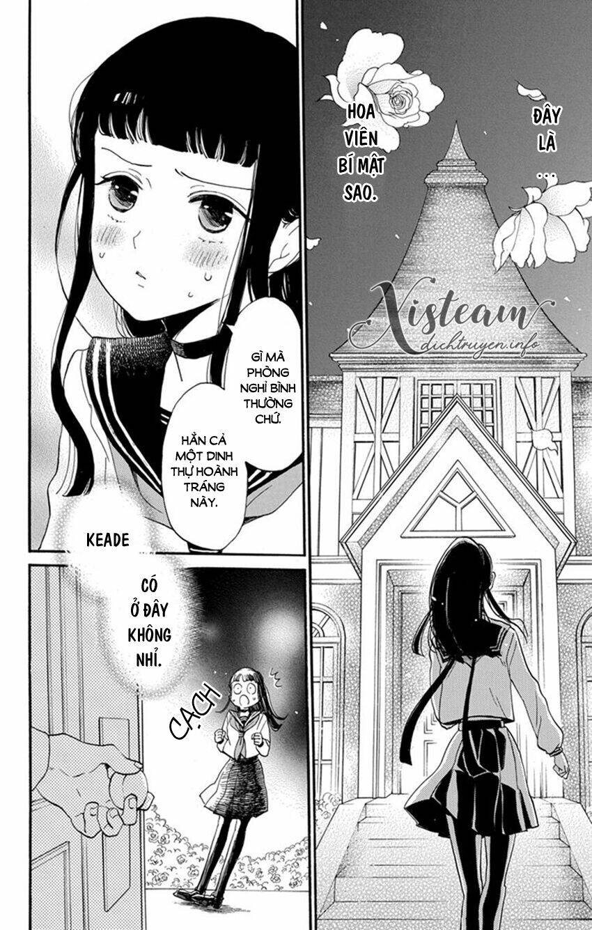 Nin Koi Chapter 22 - TC Truyện