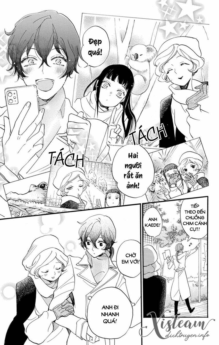 Nin Koi Chapter 23 - TC Truyện