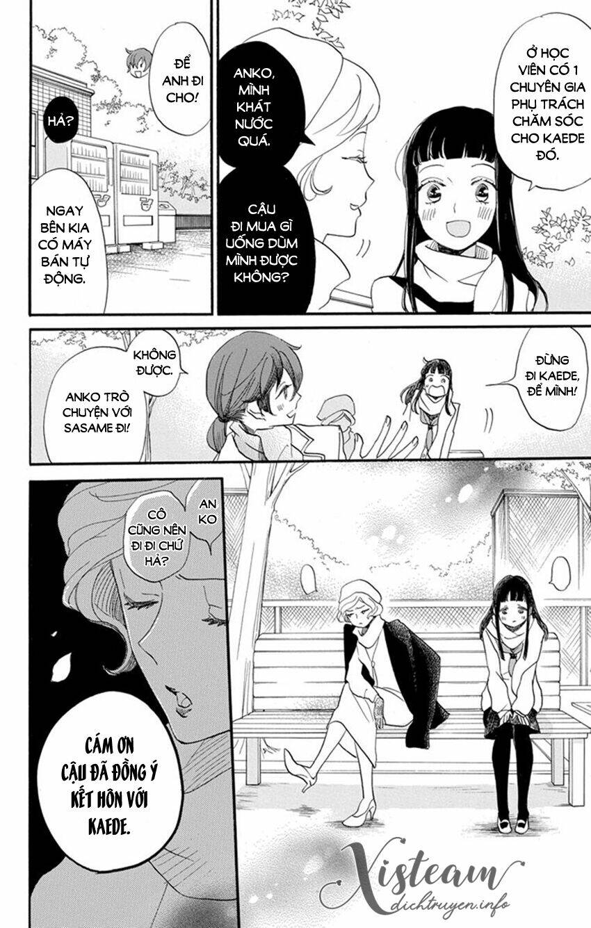 Nin Koi Chapter 23 - TC Truyện