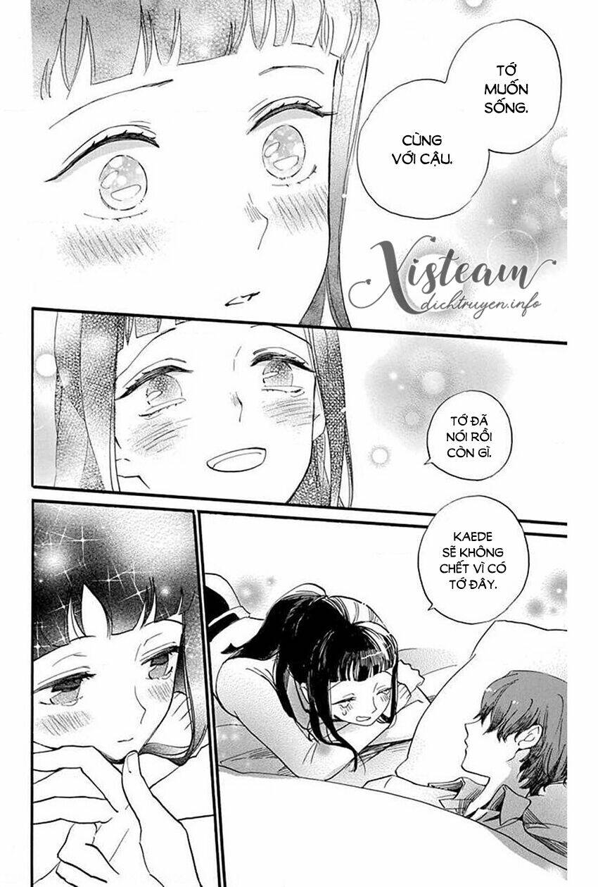 Nin Koi Chapter 29 - AB Truyện