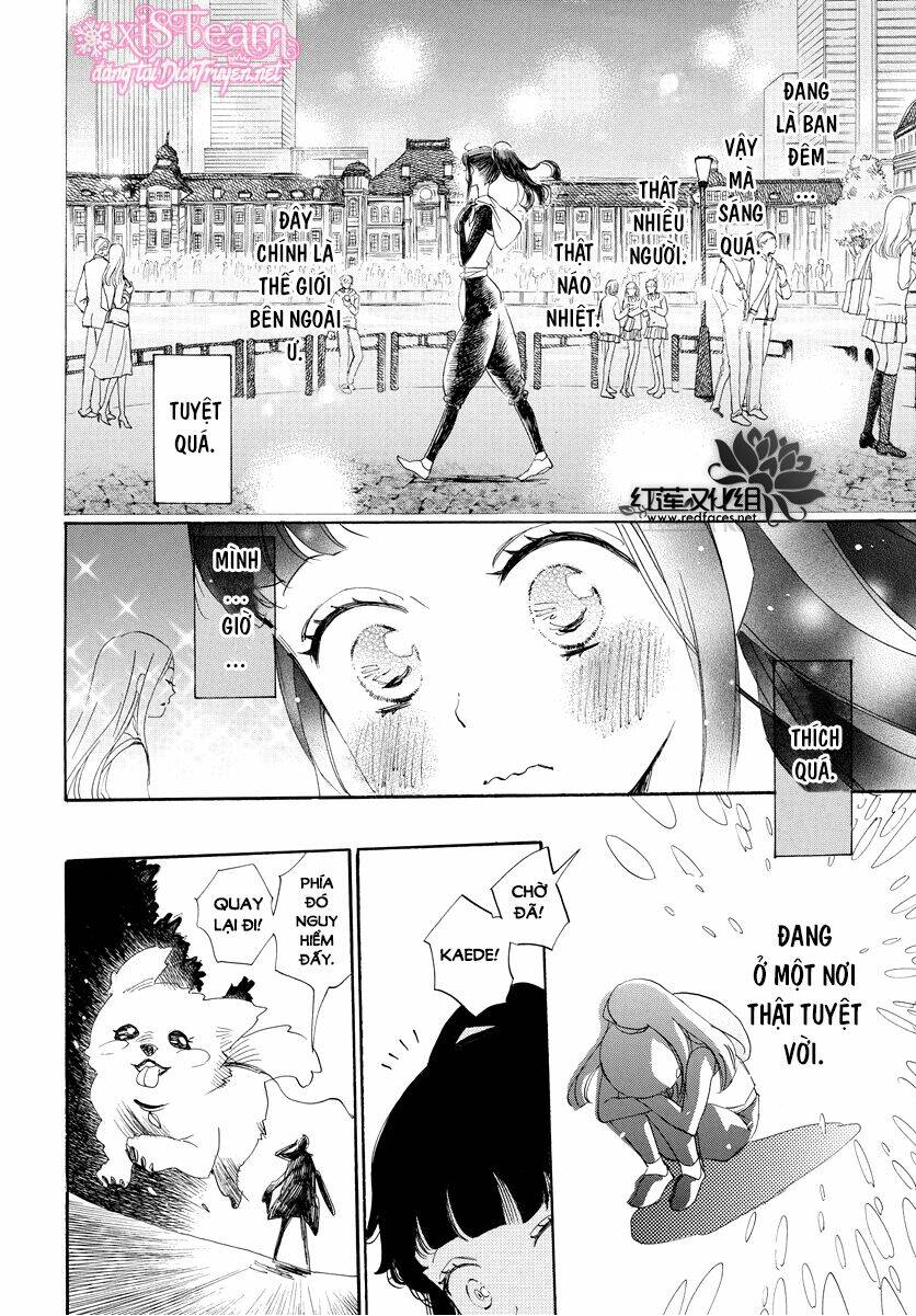 Nin Koi Chapter 5 - TC Truyện