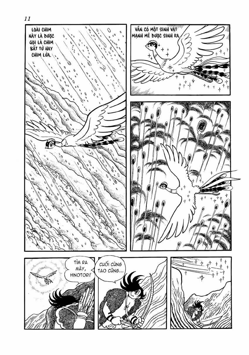 Chim Lửa Chapter 1 - TC Truyện