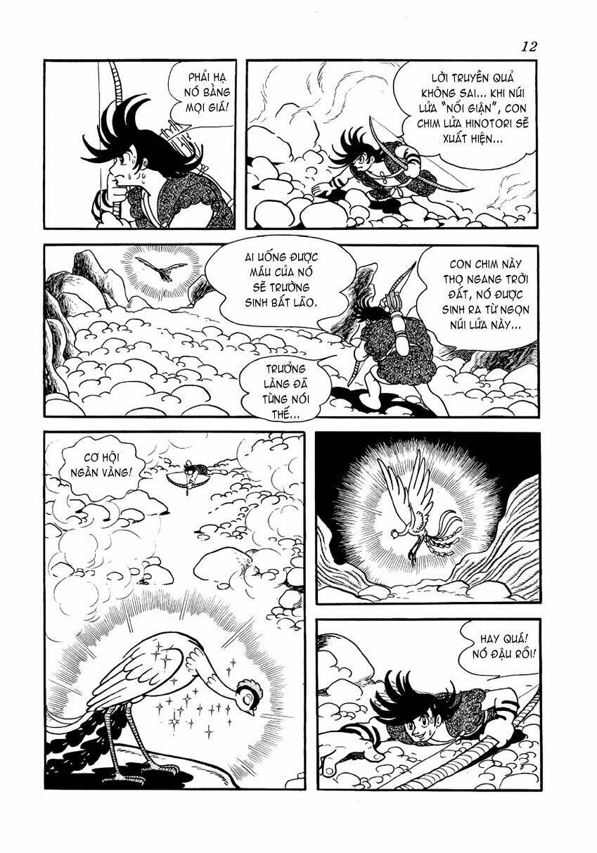 Chim Lửa Chapter 1 - TC Truyện
