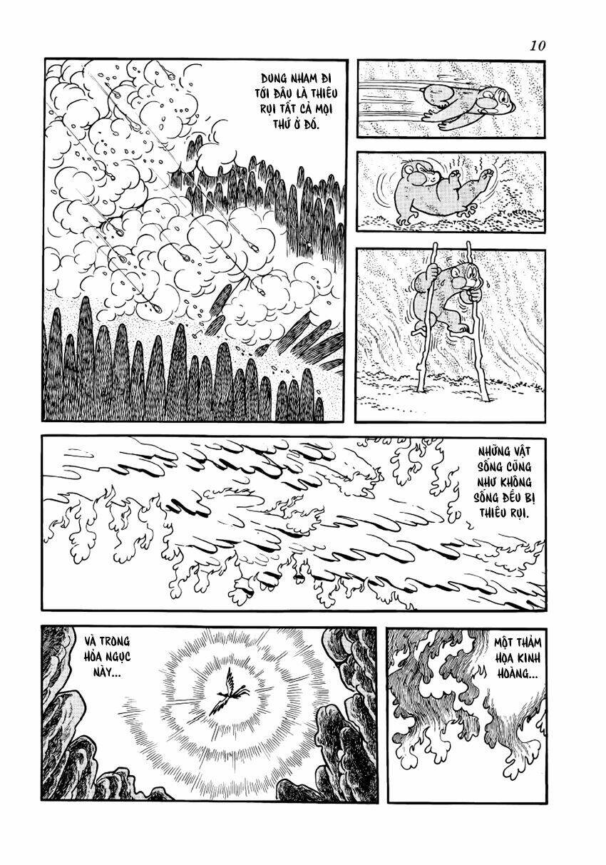 Chim Lửa Chapter 1 - TC Truyện