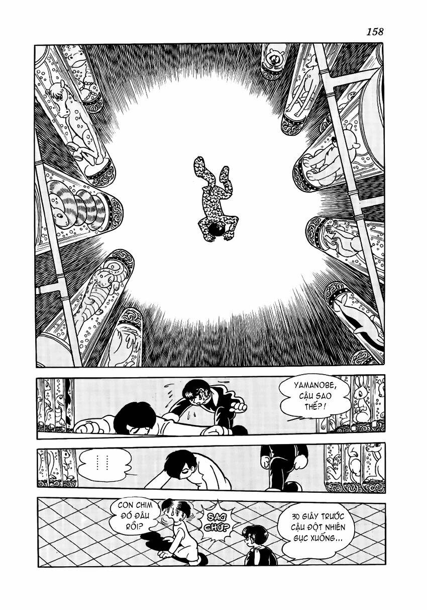Chim Lửa Chapter 25 - TC Truyện