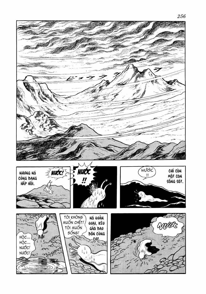 Chim Lửa Chapter 29 - TC Truyện