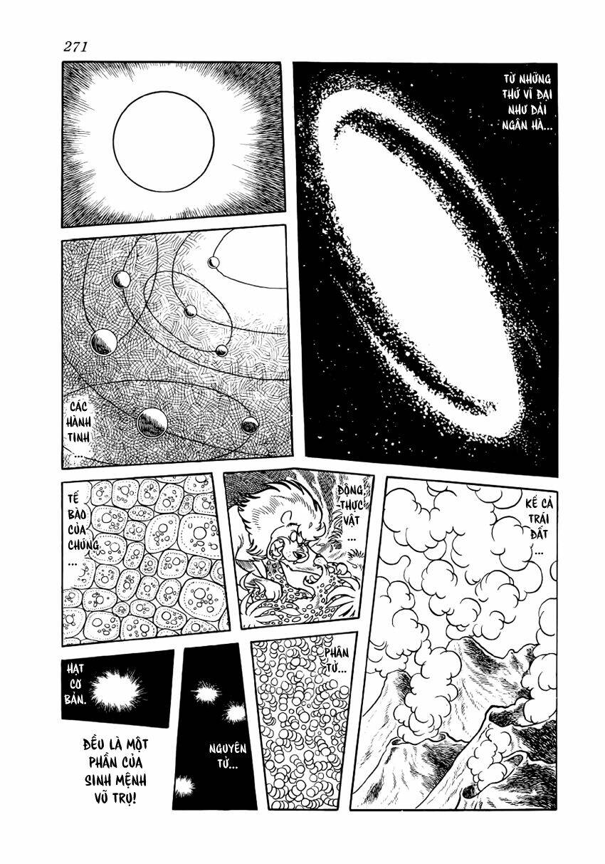 Chim Lửa Chapter 30 - TC Truyện