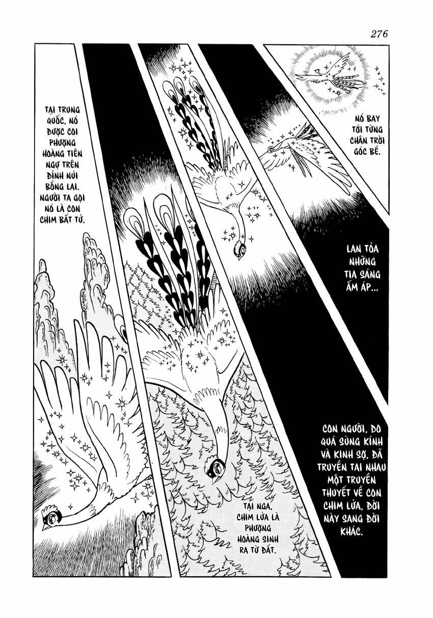 Chim Lửa Chapter 30 - TC Truyện