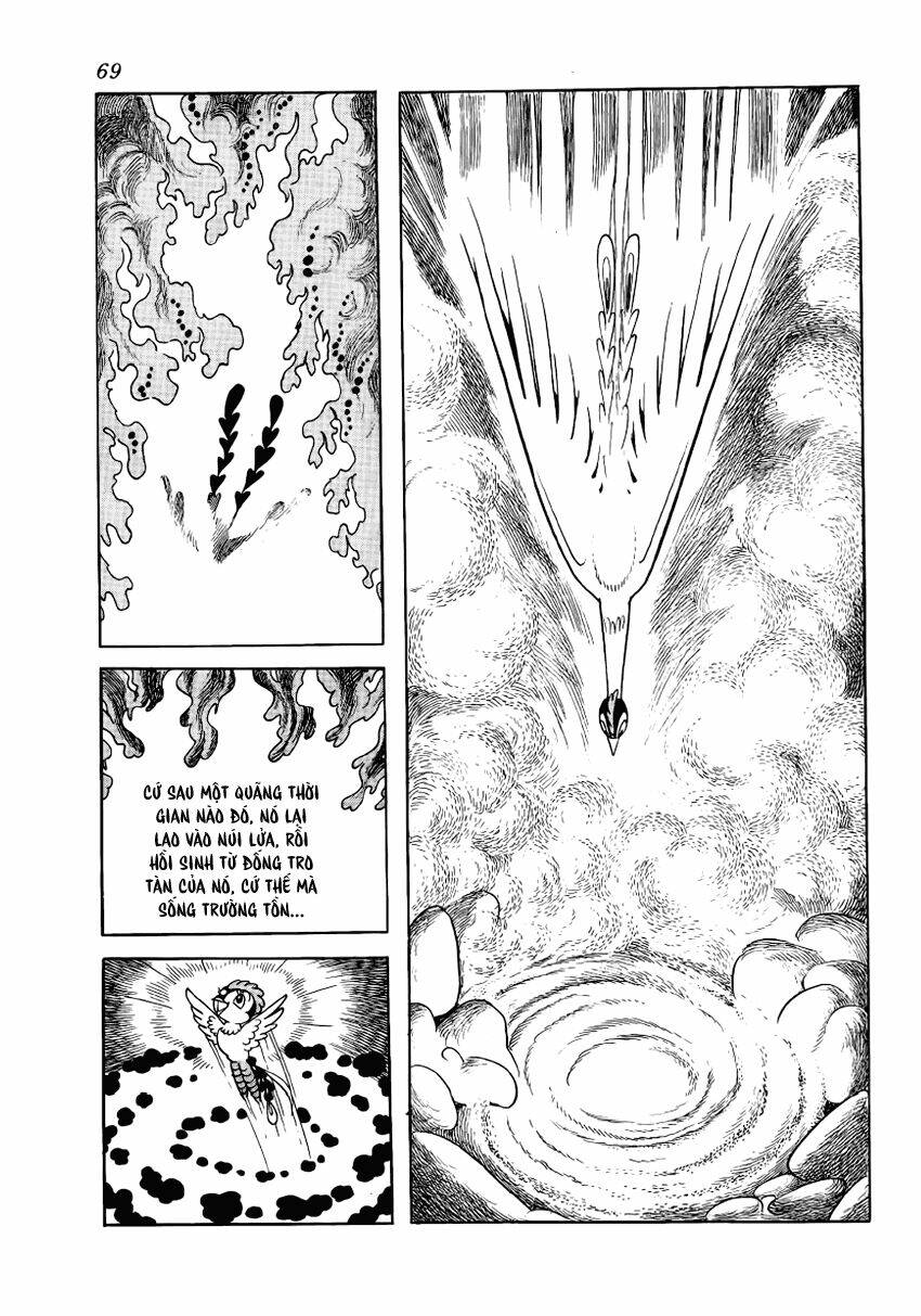 Chim Lửa Chapter 3 - TC Truyện
