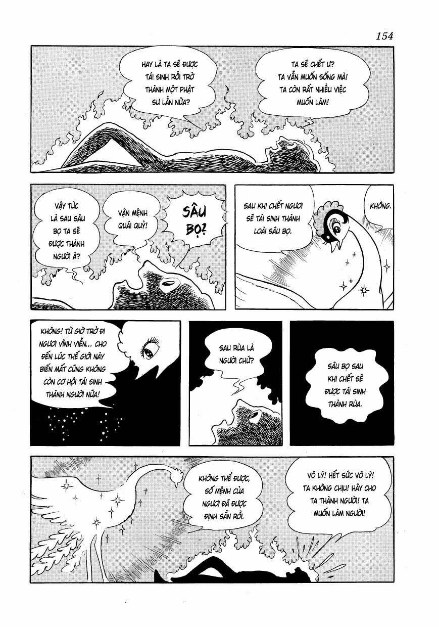 Chim Lửa Chapter 53 - TC Truyện