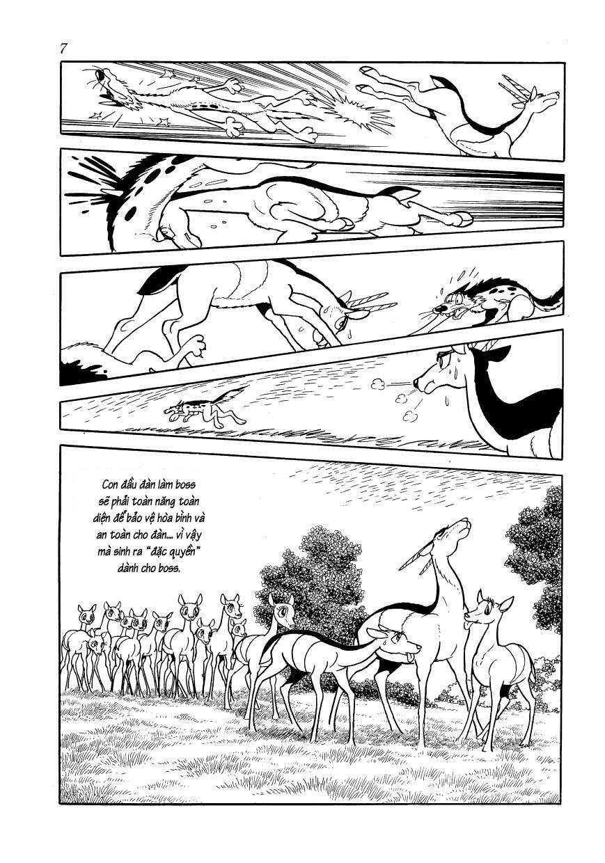 Chim Lửa Chapter 77 - TC Truyện