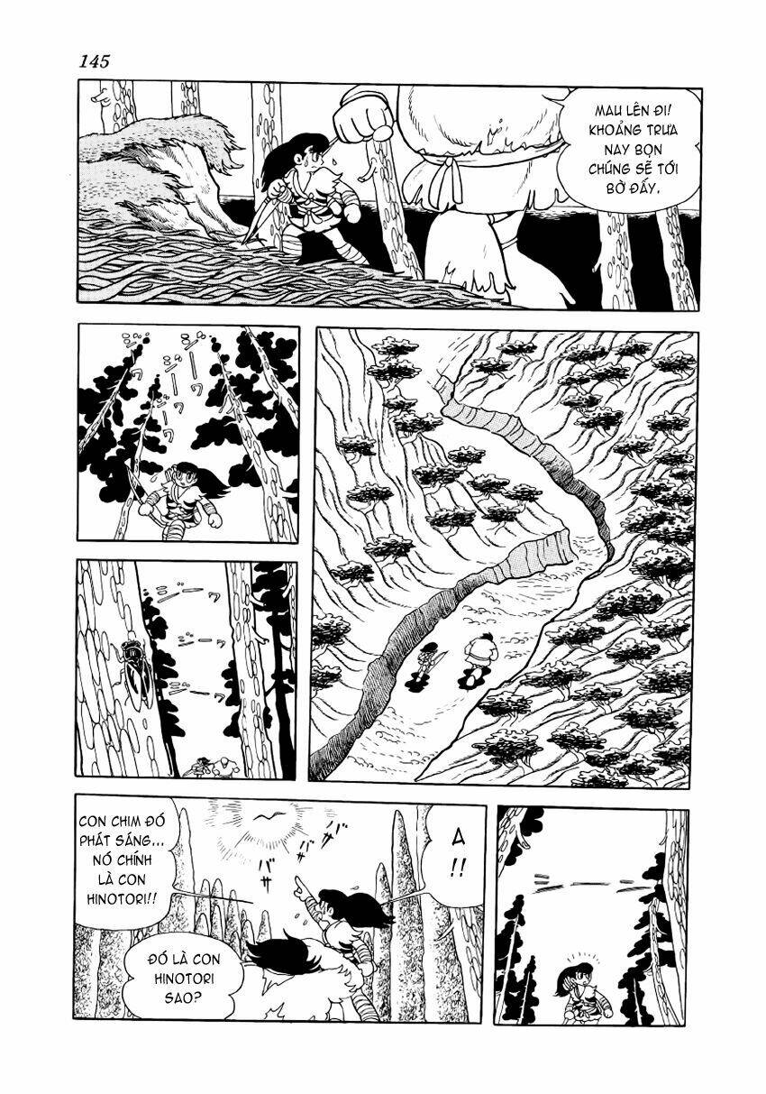 Chim Lửa Chapter 7 - TC Truyện