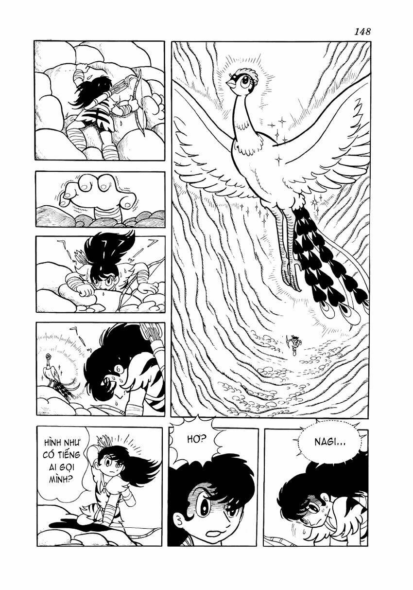Chim Lửa Chapter 7 - TC Truyện