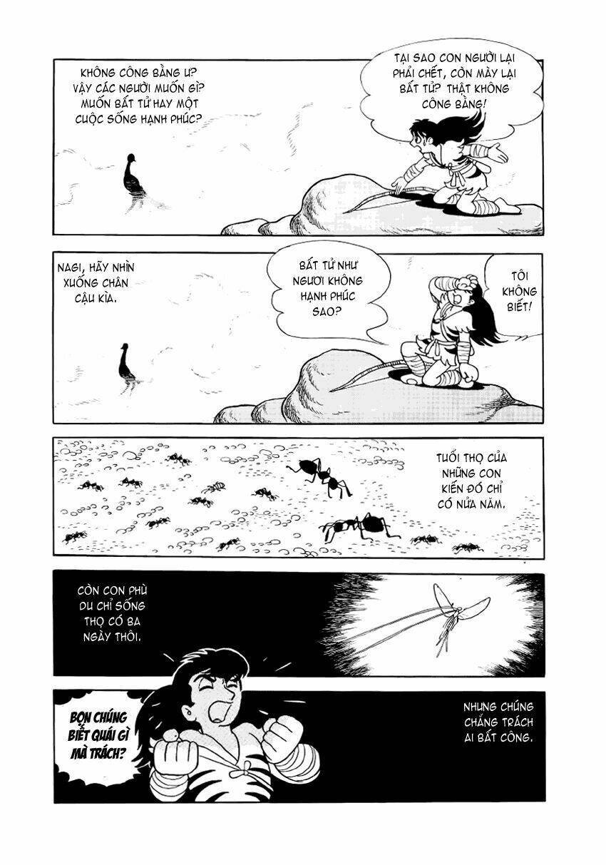 Chim Lửa Chapter 7 - TC Truyện