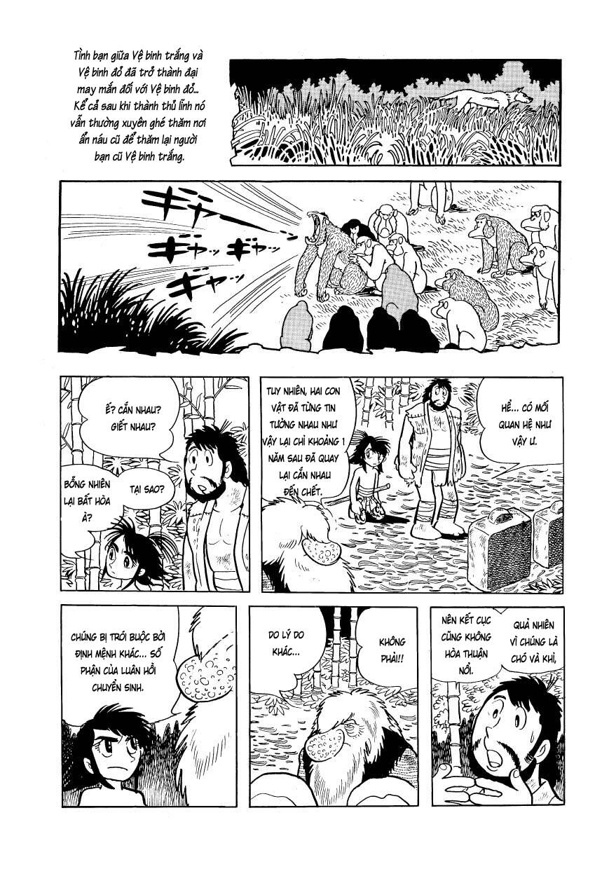 Chim Lửa Chapter 81 - TC Truyện