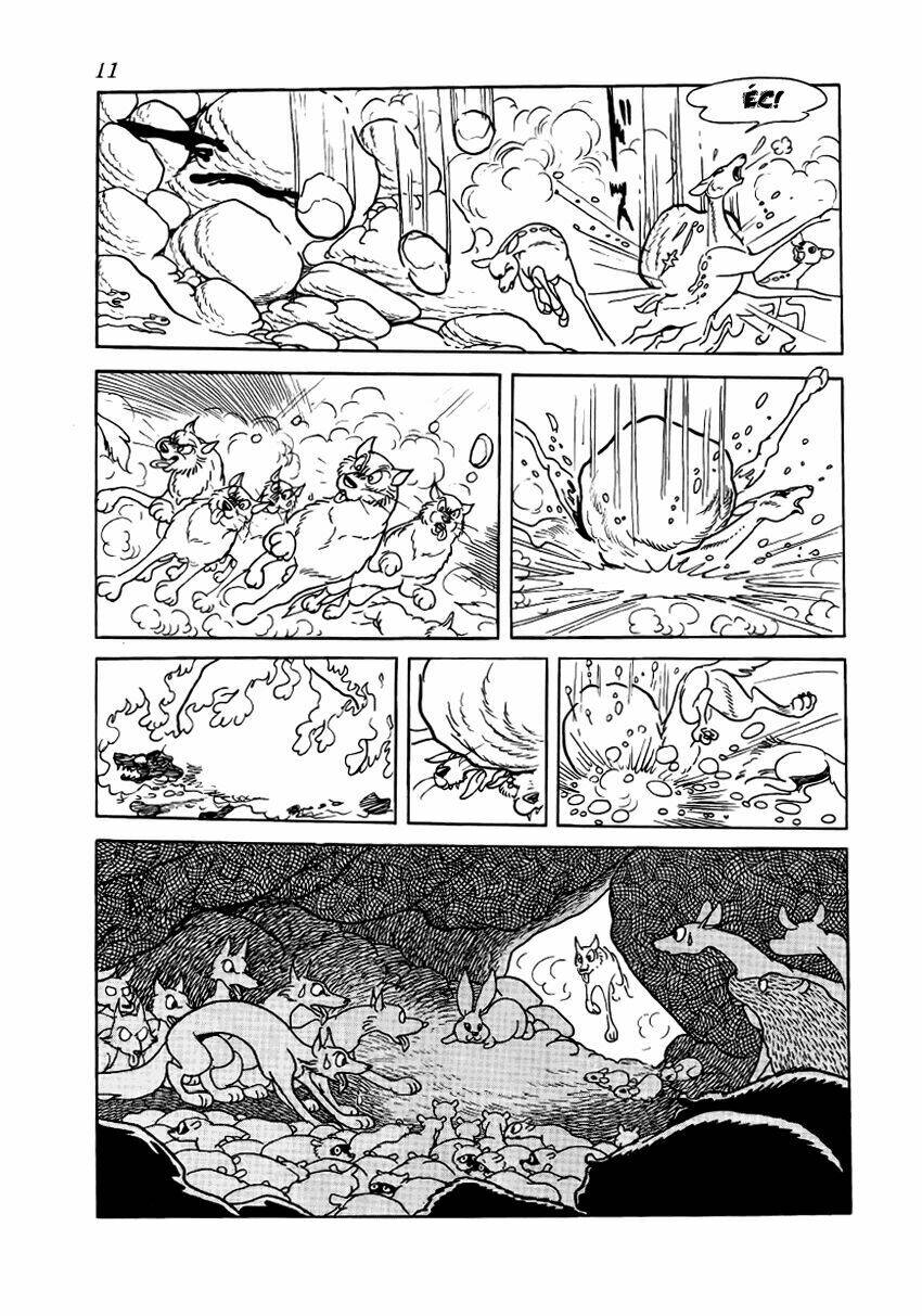 Chim Lửa Chapter 9 - TC Truyện