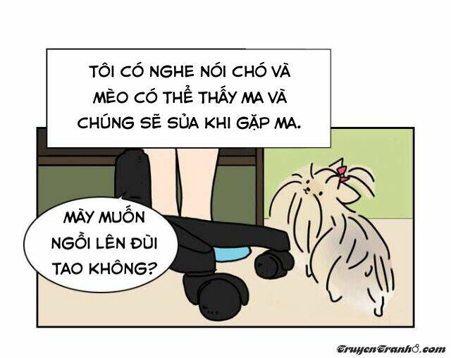 Chiller Chapter 36 - TC Truyện
