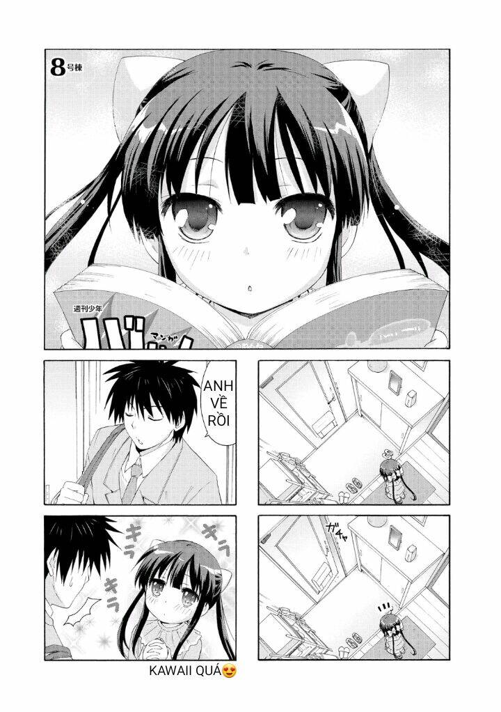 Danchigai Chapter 8 - TC Truyện