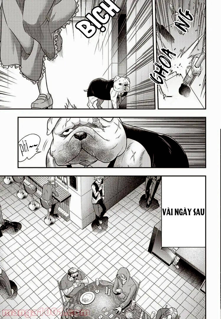 Diner Chapter 74 - AB Truyện