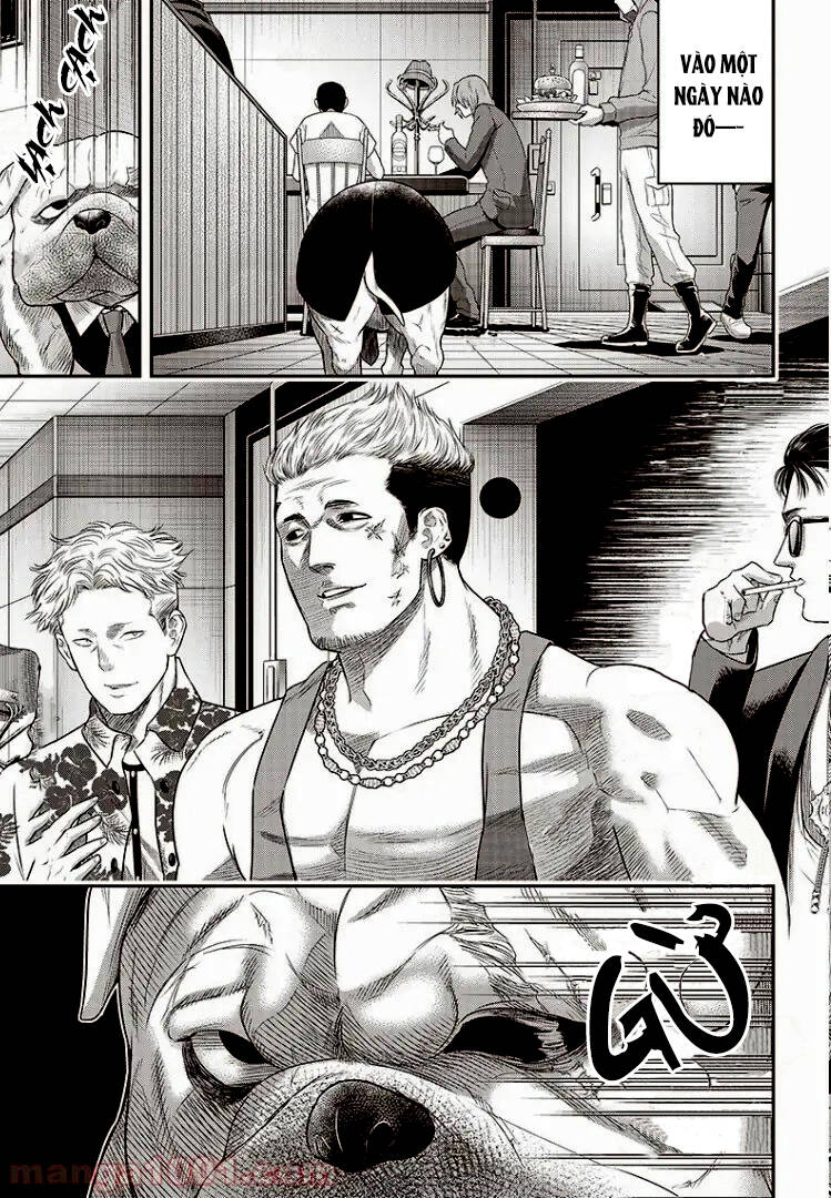 Diner Chapter 74 - AB Truyện