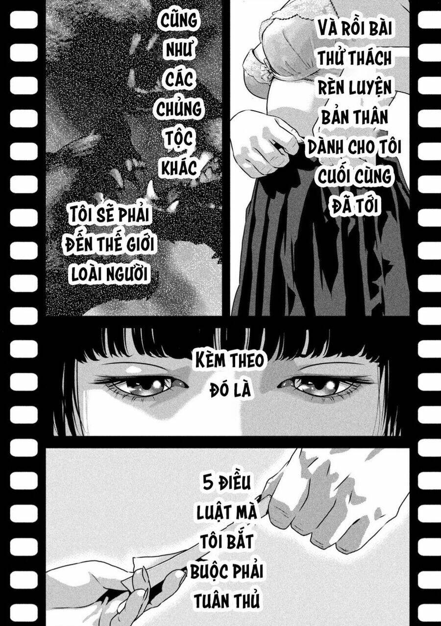 Dora-Q Chapter 1 - TC Truyện