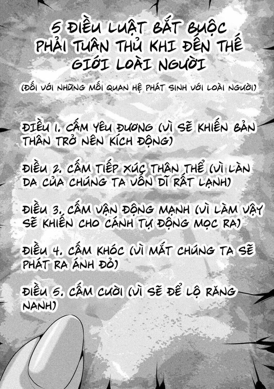 Dora-Q Chapter 1 - TC Truyện