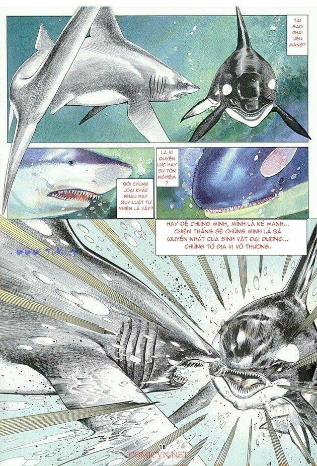 Hải Hổ 1 Chapter 4 - TC Truyện