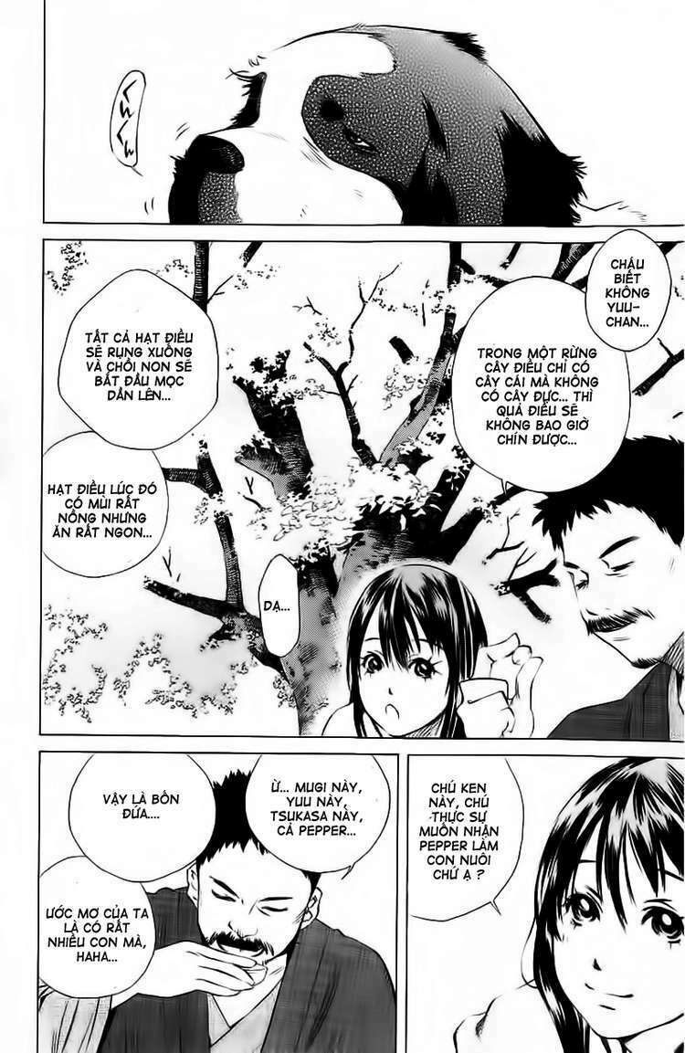 Pastel Chapter 116 - TC Truyện