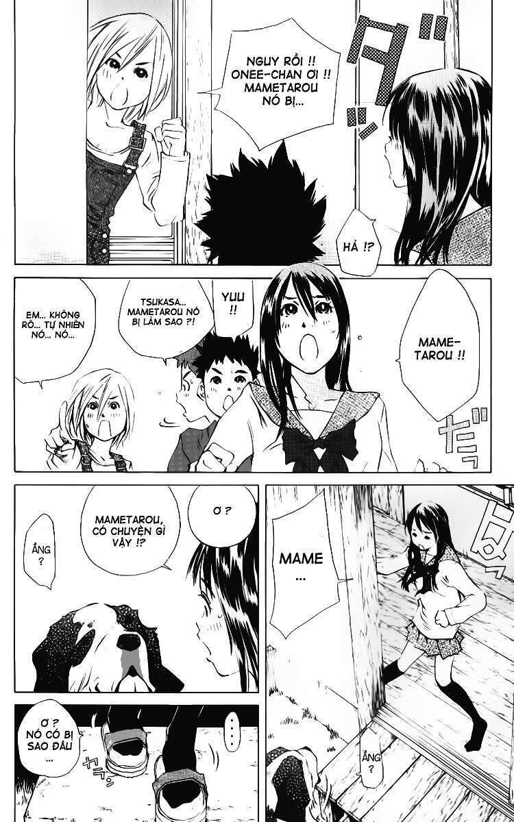 Pastel Chapter 117 - TC Truyện