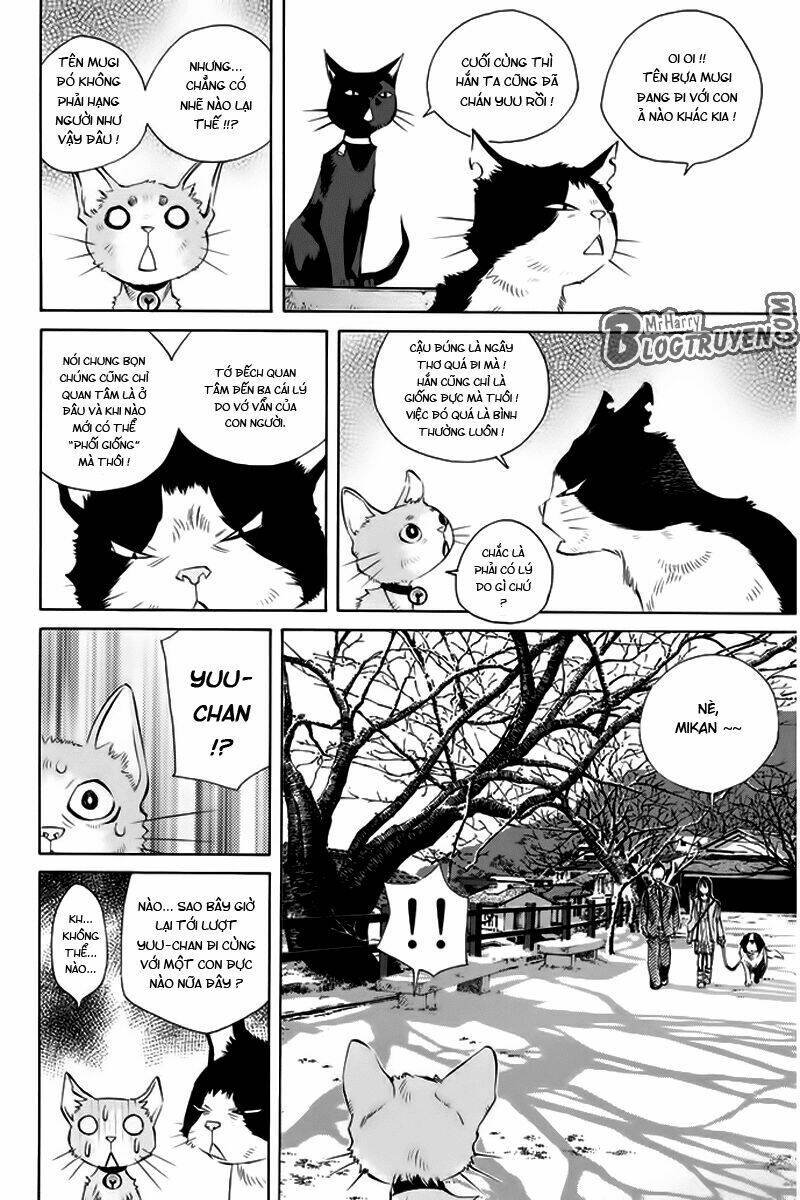 Pastel Chapter 136 - TC Truyện