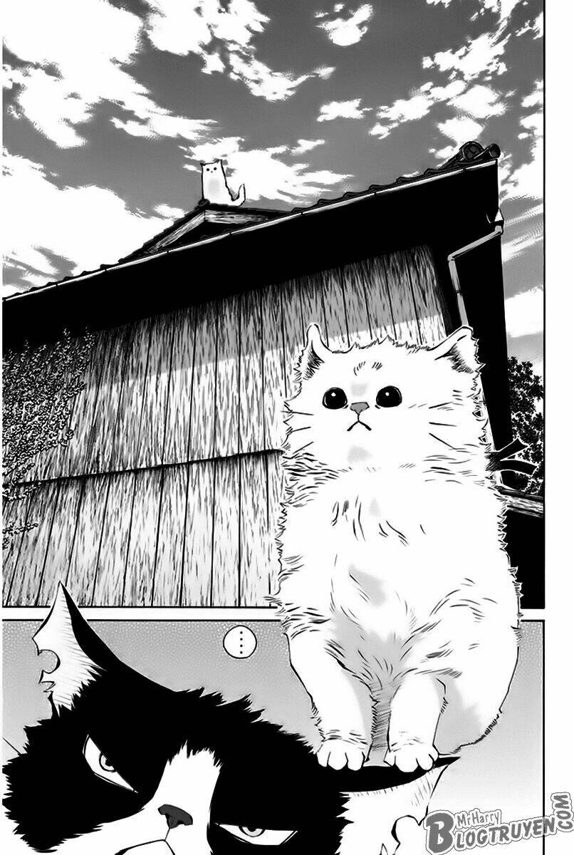 Pastel Chapter 150 - TC Truyện