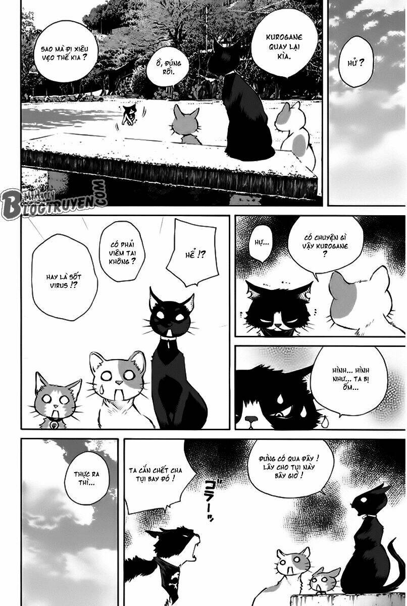 Pastel Chapter 150 - TC Truyện