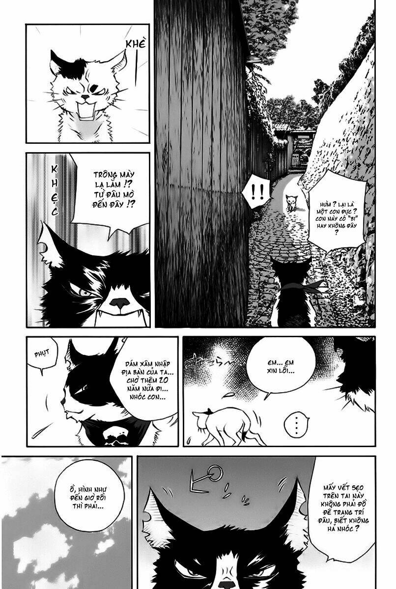 Pastel Chapter 150 - TC Truyện
